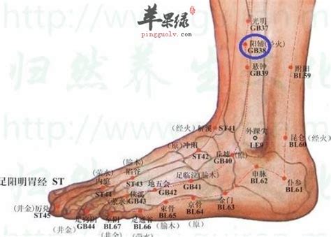 長型套房佈置 陽輔穴位置